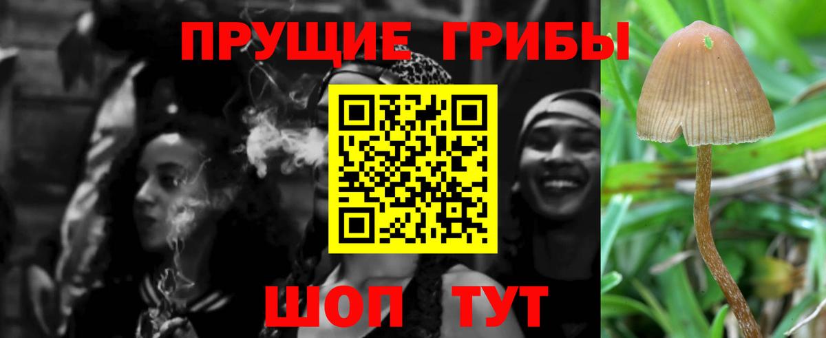 Бор  Псилоцибиновые грибы Magic Shrooms  Вход с VPN 
